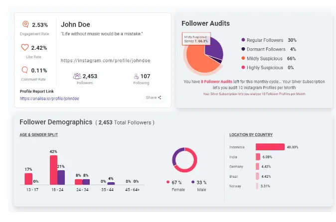 Analisa.io Demograpical report