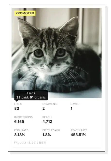 No.1 Minter.io Review 2025 - Features, Pricing & Master Guide 15 Minter.io Ads Analytics