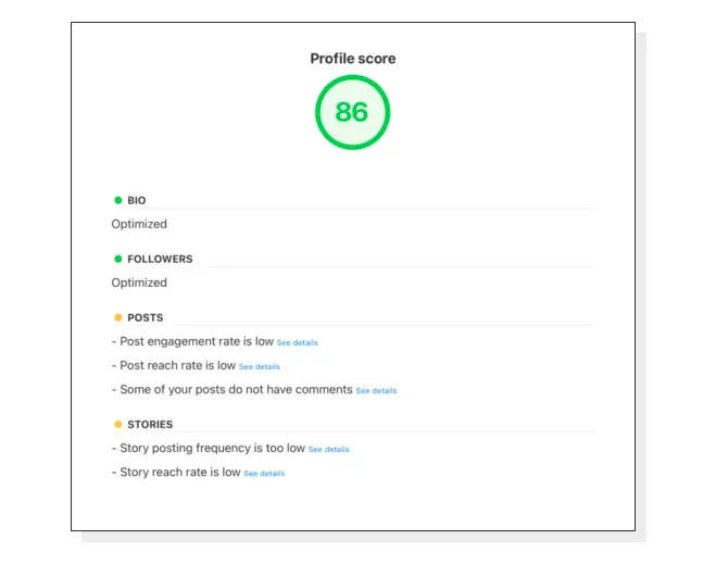 No.1 Minter.io Review 2025 - Features, Pricing & Master Guide 16 Minter.io Instagram Audit