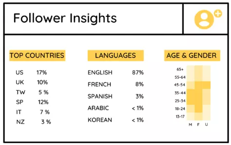 follower insights