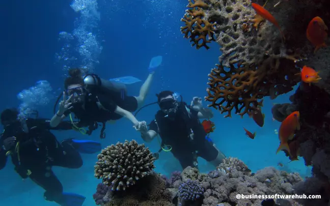 29+ Game-Changing Travel Business Ideas to Explore in 2025 25 Scuba Diving Business