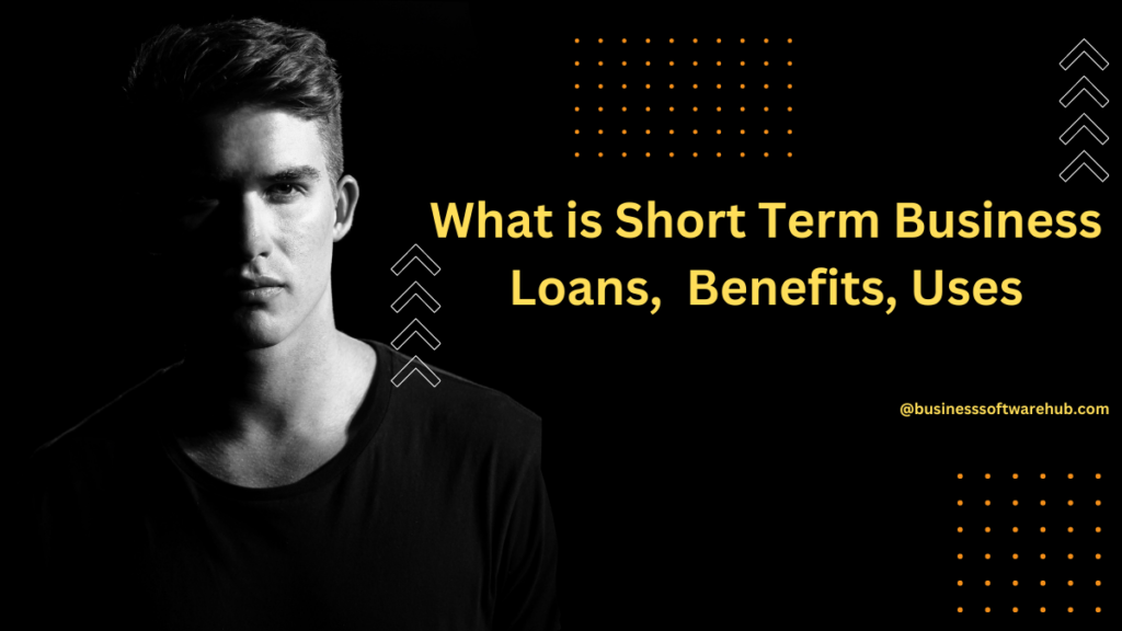 What is a Short Term Business Loan